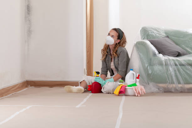 Reliable Hvac And Air Duct Mold Remediation contractor in Garland, NC by 24 Hour Mold Removal